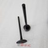 xupap-hyundai-1t-d4bb
