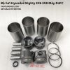 bo-hoi-complete-hyundai-mighty-ex6-ex8-may-d4cc