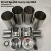bo-hoi-hyundai-county-dong-co-d4ga
