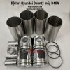 bo-hoi-hyundai-county-dong-co-d4ga