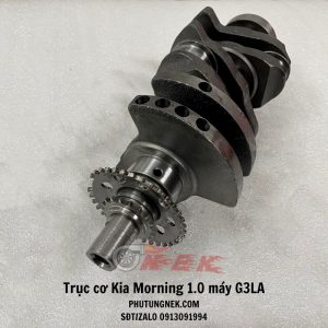 truc-co-kia-morning-1.0-may-g3la