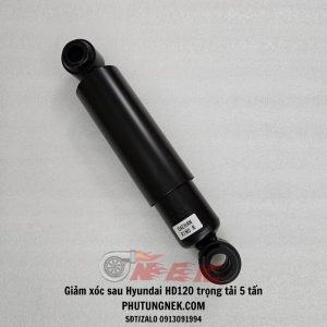 phuoc-nhun-sau-hyundai-hd120-trong-tai-5-tan