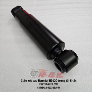 phuoc-nhun-sau-hyundai-hd120-trong-tai-5-tan
