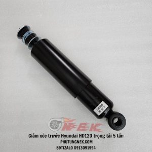 phuoc-nhun-truoc-hyundai-hd120-trong-tai-5-tan