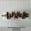 truc-khuyu-hyundai-solati-16-cho-kim-dien-d4cb-133ps