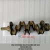 truc-khuyu-hyundai-solati-16-cho-kim-dien-d4cb-133ps