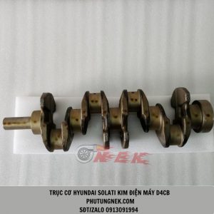 truc-khuyu-hyundai-solati-16-cho-kim-dien-d4cb-133ps